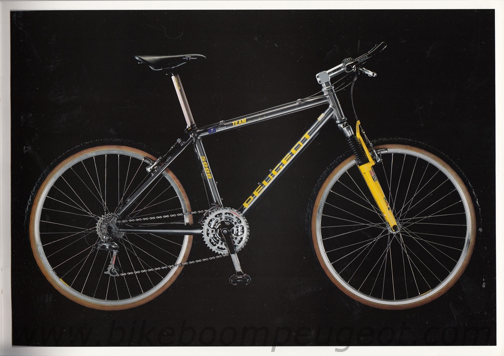 PEUGEOT VTT-1900DH TEAM LINE フレーム(プジョー） 26インチ 1998年式